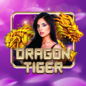 Dragon Tiger hot Game on bingo app apk