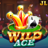 Wild Ace bingo app apk slot